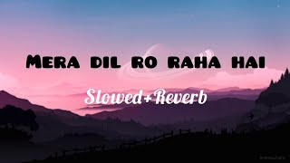 Mera Dil Ro Raha Hai  SlowedReverb  Ali Ahsan lofi hindisong sadsong [upl. by Murdock361]