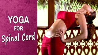 Yoga for Strengthen the diaphragm  Prishthasana  Shilpa Yoga [upl. by Courtenay]