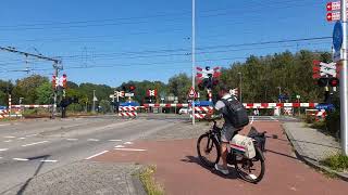 Spoorwegovergang HalfwegZwanenburg  Dutch railroad crossing [upl. by Nugent]