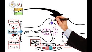 Pharmacology  DRUGS FOR PARKINSONS DISEASE MADE EASY [upl. by Kelbee976]