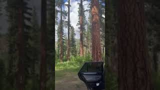 Video of Monture Trailhead MT from Jackie H [upl. by Dyer268]