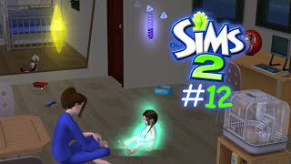 🏡Die Sims 2  Familie Wilson 12  No Commentary GER🏡 [upl. by Erdnua]