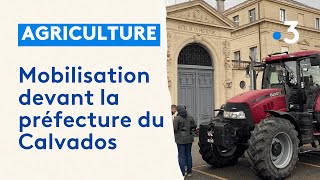 Colère des agriculteurs  rassemblement devant la préfecture du Calvados [upl. by Akamaozu]