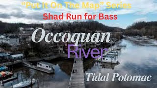 Put It On The Map Series  Occoquan River Shad Run Potomac River Bass Fishing In The DMV [upl. by Lust]