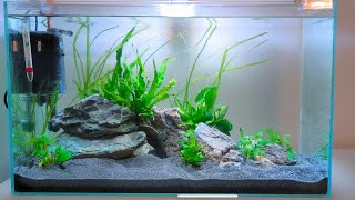 SETUP LOW TECH PLANTED TANK  No CO2 No fertiliser Low Light [upl. by Anemolif591]