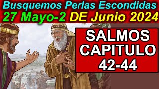 Busquemos PERLAS ESCONDIDAS de esta semana 27 Mayo 2 de Junio 2024 Comentarios [upl. by Anelrahs]