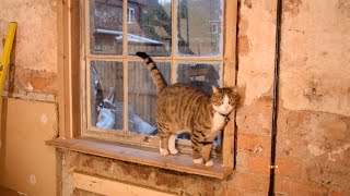 Making secondary glazing frame from reclaimed wood for crittall window  Derelict Conversion Part 2 [upl. by Golliner]