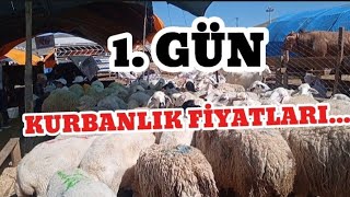 1 GÜN KURBAN FİYATLARI  ANKARA YENİMAHALLE YAKACIK [upl. by Amr164]