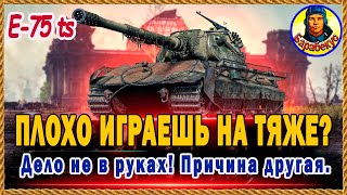 ПОМОГИ СВОЕМУ ТТ жить чуть дольше  это не сложно Е75 ТС e75 ts Мир Танков [upl. by Kristofer]