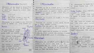 Mitrochondria Structure and Function Microbodies peroxisomes glyoxysomes in hindi [upl. by Iel]