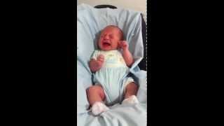 Bimbo neonato che piange Crying baby [upl. by Atnohs]