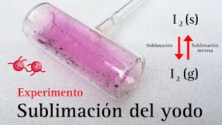 SUBLIMACIÓN DEL YODO  EXPERIMENTOS DE QUÍMICA [upl. by Nylhtiak284]