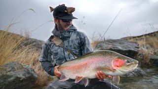 Fly Fishing Mega Trout on Worlds Best Trophy Trout River [upl. by Haroved837]