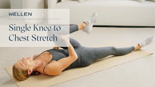 How to do Single Knee to Chest Stretch  Flexibility amp Posture Exercise  Wellen [upl. by Dame261]