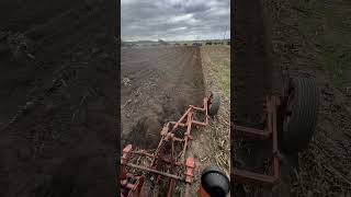 Allis Chalmers D17 Diesel plowing [upl. by Meadow]