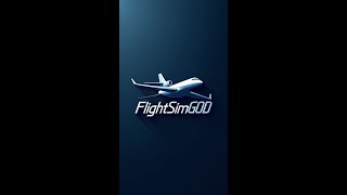 MSFS2024 Tutorial Series G1000 Setup MSFS2024 flightsimulator viral tutorial [upl. by Llehcim]