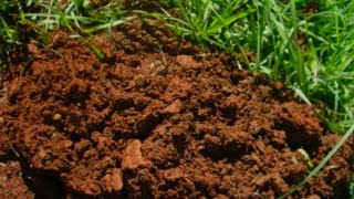 Laterite soil [upl. by Damiani]