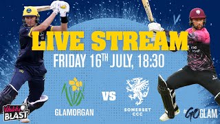 Somerset v Glamorgan  Babar Azam HalfCentury Sees Somerset Home  Vitality Blast 2019  Highlights [upl. by Ecilef]