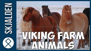 What Animals did the Vikings Have on Their Farms [upl. by Gibbs]