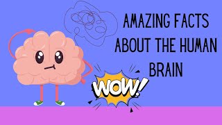 Amazing Facts About the Human brain 🧠 [upl. by Eleni636]