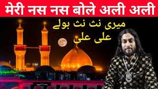 मेरी नस नस बोले अली अली Meri Nas Nas Bole Ali Ali Sultan Sabri Qawwali kavvali [upl. by Alliber]