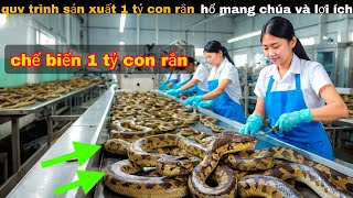 Quy Trình Sản Xuất Chế Biến 1 tỷ Con Rắn Hổ Mang chúa  review giải trí [upl. by Carn]