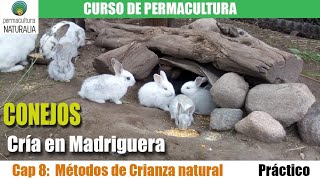 CRIA tus CONEJOS EN MADRIGUERA y tus GALLINAS EN ÁRBOLES Métodos naturales para TU GRANJA [upl. by Darnall]