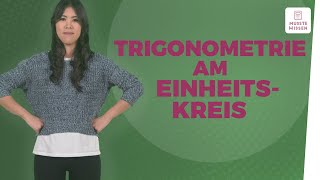 Trigonometrie anschaulich erklärt I musstewissen Mathe [upl. by Darrel941]