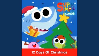 12 Days of Christmas [upl. by Tegan]