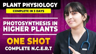 Photosynthesis in higher Plants in One Shot Class 11 NCERT  NEET 2024 [upl. by Aieki788]