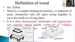 WOOD ANATOMY [upl. by Terence]