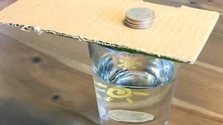 the coin drop inertia expwith cardboardcoin and a glass  science experiment youtube shorts [upl. by Pilar868]