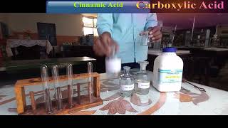 Cinnamic Acid 12th chemistry practical [upl. by Ignatzia606]