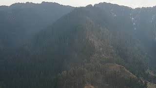 Narkanda Shimla Weather Live [upl. by Hacissej]