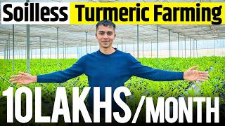 1 acre से 1 crore Soilless Turmeric Farming Profits Explained  Agritalk By Abhinav Roy [upl. by Nytsirk]