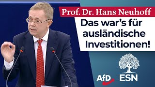 Das war’s für ausländische Investitionen  Prof Dr Hans Neuhoff AfD [upl. by Fleisher310]