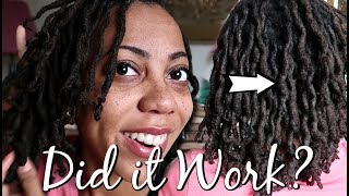 BENTONITE CLAY ON DREADLOCKS  WHAT HAPPENED TO MY HAIR [upl. by Soloman]