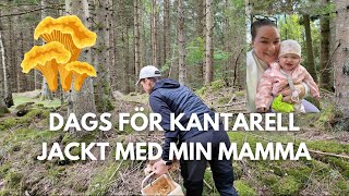 HITTAR VI NÅGRA KANTARELLER vlogg [upl. by Lessur]