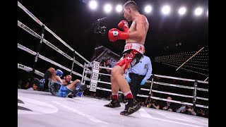 Pablo Cesar Cano vs Jorge Linares  Knockout Highlights 🇲🇽🇻🇪 [upl. by Yecad]