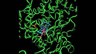 Homology modelling of CYP2D6 [upl. by Anair]