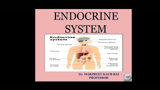 ENDOCRINE SYSTEM NOTES WITH EXPLANATION [upl. by Enyleve]