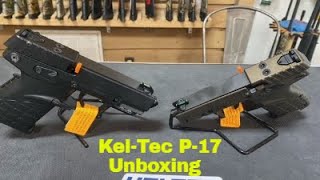 KelTec P17 First Look [upl. by Lauhsoj]