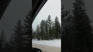 Beautiful Winter Snow in Idaho 😎🏞️❄️🎵🌲🚙usa shorts snow winter nature music idaho drive [upl. by Liew]