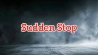 Sudden Stop Sound Effect [upl. by Tatum]