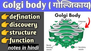 golgi body structure and function in hindi cell biology bsc biology [upl. by Lalage621]