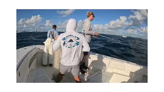 Sail fishing Fort Lauderdale 39 Seavee [upl. by Karolyn]