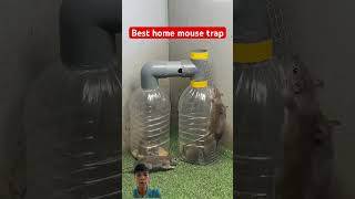 Best home mouse trap at plastic bottle rat rattrap bucketmousetrap rattletrap mousetrap mouse [upl. by Odama741]