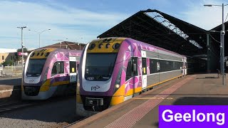 VLine Trains at Geelong Station during Peak Hour  Victorian Transport [upl. by Ethelstan]