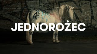 Sokół  Jednorożec Official Video [upl. by Htebaras]