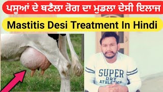 Mastitis desi Treatment। ਥਨੈਲਾ ਰੋਗ ਦਾ ਦੇਸੀ ਇਲਾਜ। गाय भैंस में थनैला रोग का देसी इलाज [upl. by Winsor373]